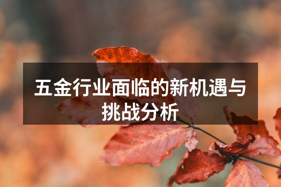 五金行业面临的新机遇与挑战分析